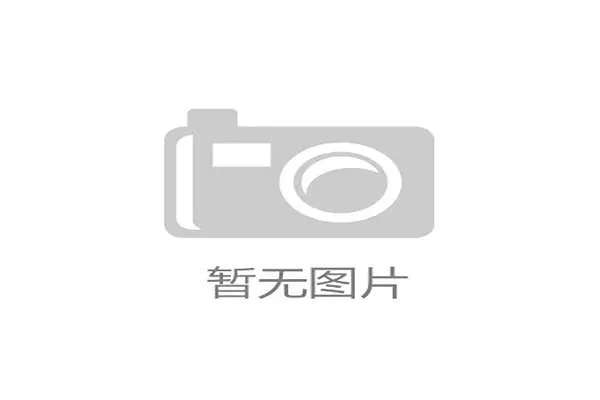 球迷热议焦点之一就是巴西甲级联赛队徽