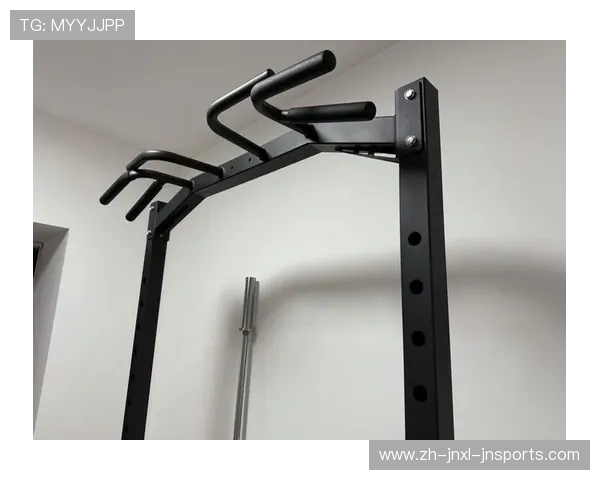 自由健身器材适合打造个性化家庭健身空间吗